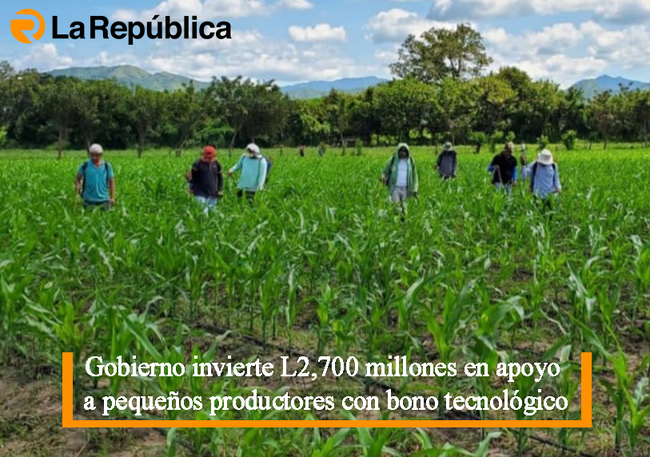 Gobierno invierte L2,700 millones en apoyo a pequeños productores con bono tecnológico - Cover Image